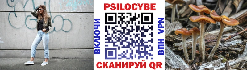 Псилоцибиновые грибы MAGIC MUSHROOMS  хочу наркоту  Еманжелинск 